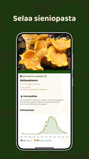 Mushroom Spot: sienet kartalla screenshot