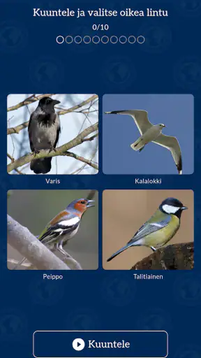 Muuttolintujen kevät – RFJM screenshot