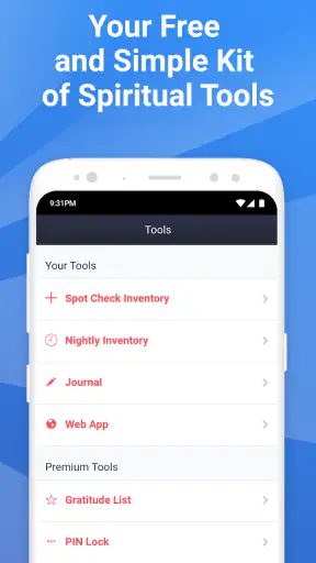 My Spiritual Toolkit AA Steps screenshot
