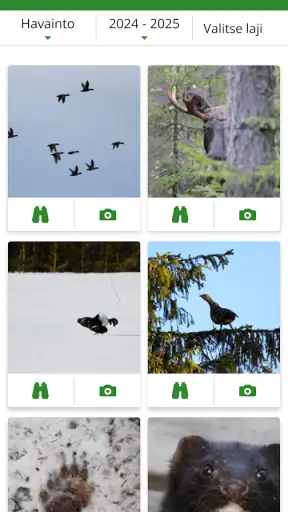 Oma riista screenshot