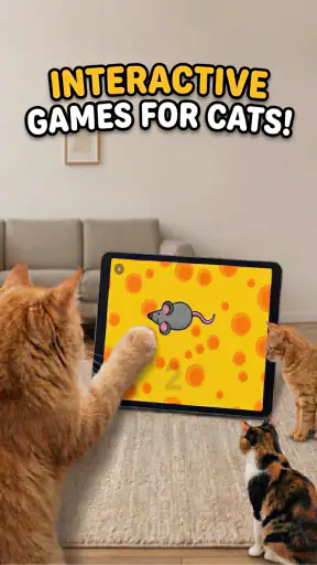 Pelit kissoille - Kissanlelu screenshot