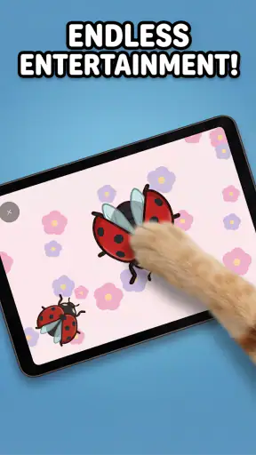 Pelit kissoille - Kissanlelu screenshot