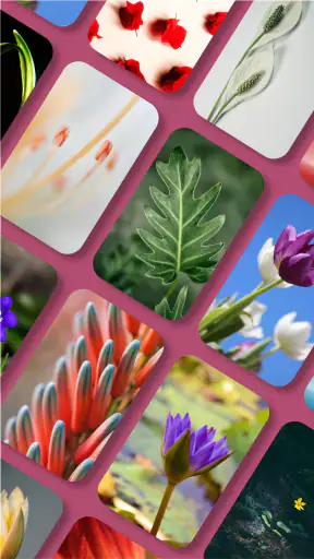 Pix Launcher - Pixel Edition screenshot