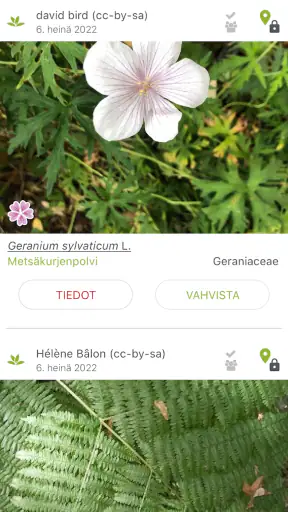 PlantNet Plant Identification screenshot