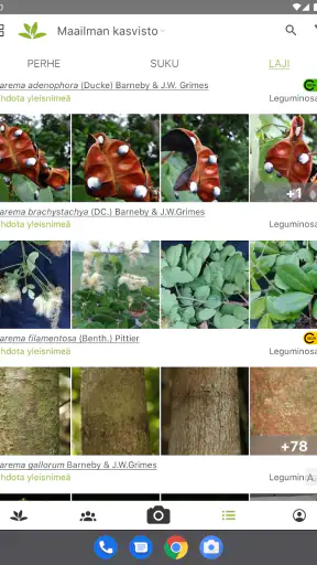PlantNet Plant Identification screenshot