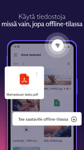Proton Drive: Pilvitallennus screenshot