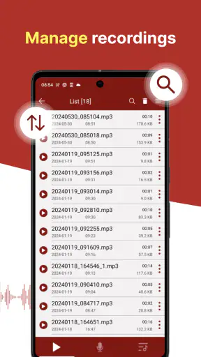sanelin - helppo tallennin screenshot