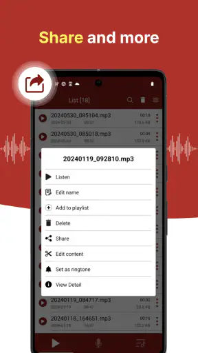 sanelin - helppo tallennin screenshot