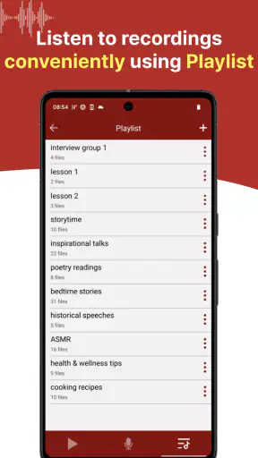 sanelin - helppo tallennin screenshot