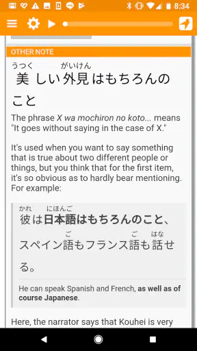 Satori Reader screenshot