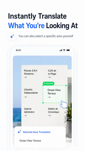 Screen Translator - FLOAT screenshot