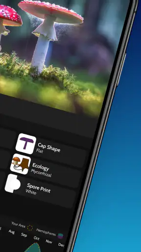 ShroomID - sienetunniste screenshot