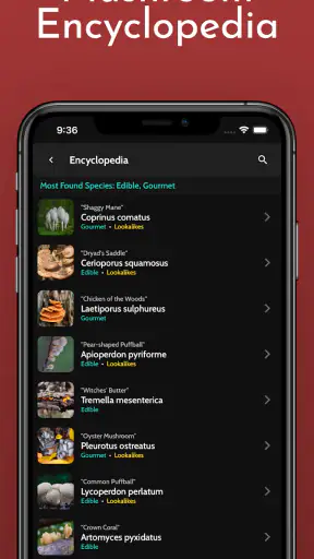 ShroomID - sienetunniste screenshot