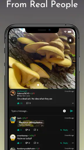 ShroomID - sienetunniste screenshot