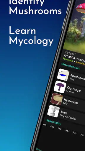 ShroomID - sienetunniste screenshot