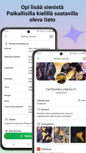 Sienitunniste screenshot