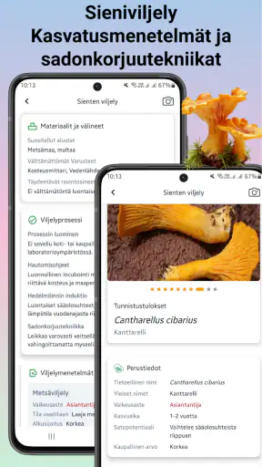 Sienitunniste screenshot
