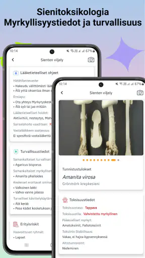Sienitunniste screenshot