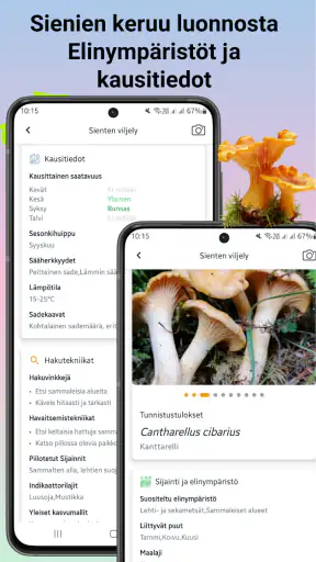 Sienitunniste screenshot