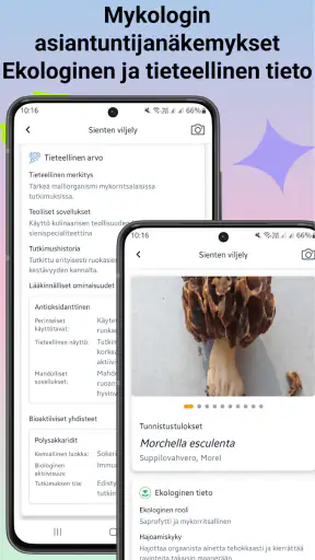 Sienitunniste screenshot