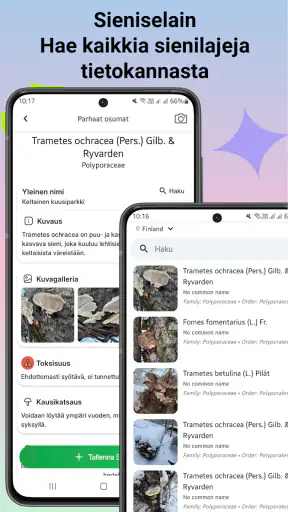 Sienitunniste screenshot