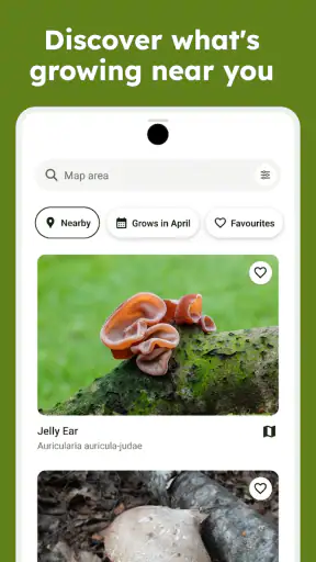 Sporecast: Mushroom Map & ID screenshot