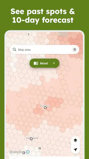 Sporecast: Mushroom Map & ID screenshot