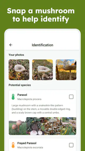 Sporecast: Mushroom Map & ID screenshot
