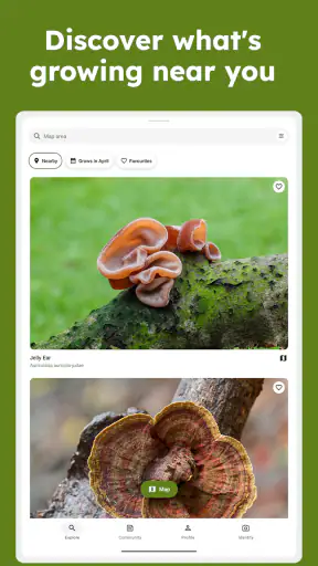 Sporecast: Mushroom Map & ID screenshot