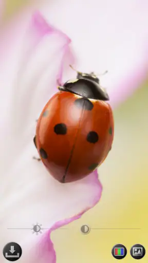 Suurennuslasi & Microscope screenshot