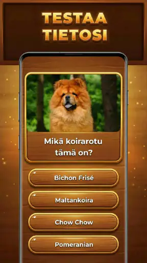 Tietopuu: Trivia Blocks screenshot