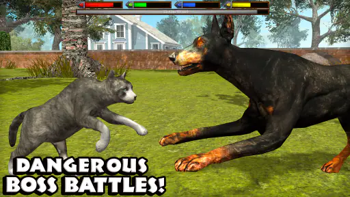 Ultimate Cat Simulator screenshot