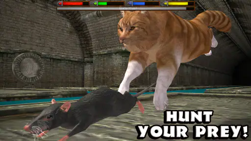 Ultimate Cat Simulator screenshot