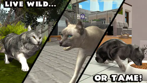 Ultimate Cat Simulator screenshot