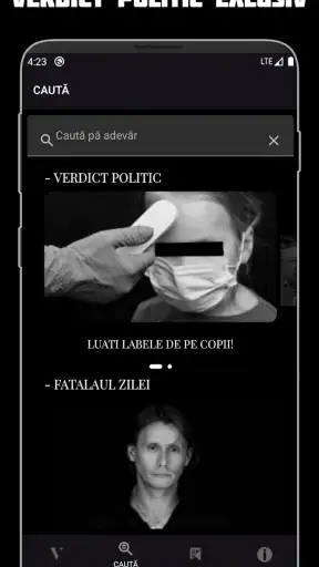 Verdict Dana Budeanu screenshot