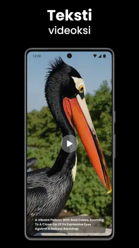 Video AI - Halaus & Suukko screenshot