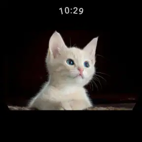 Video Player for Wear OS screenshot
