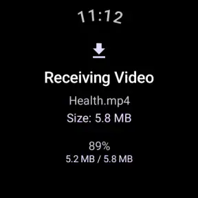 Video Player for Wear OS screenshot