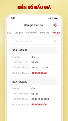VNeTraffic screenshot