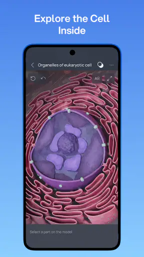 VOKA 3D Anatomy & Pathology screenshot