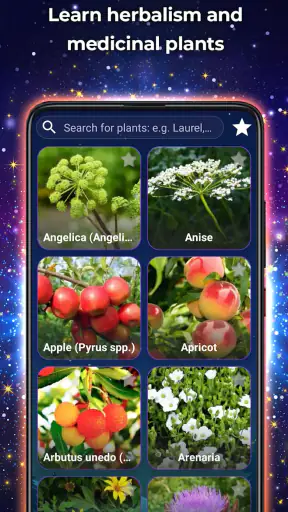 Wicca - Calendar and guide screenshot