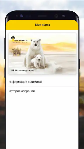 РН-Карт screenshot