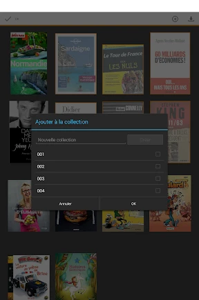 Amazon Kindle screenshot
