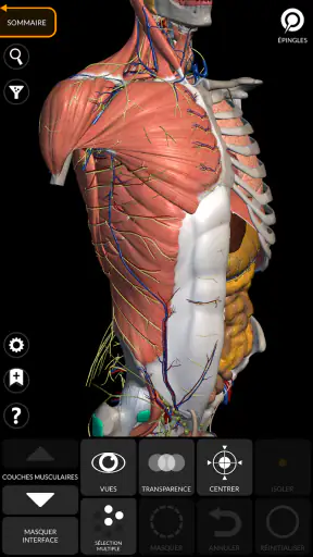 Anatomie - Atlas 3D screenshot