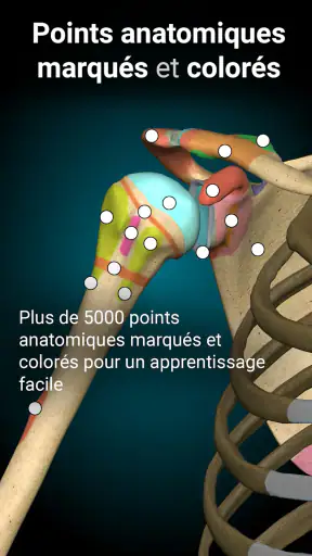Anatomy Learning - Anatomie 3D screenshot