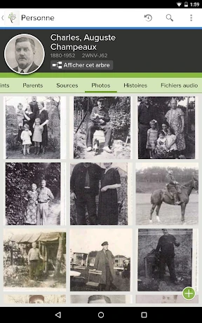 Arbre Familial de FamilySearch screenshot