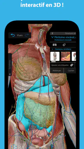 Atlas d'anatomie humaine 2025 screenshot