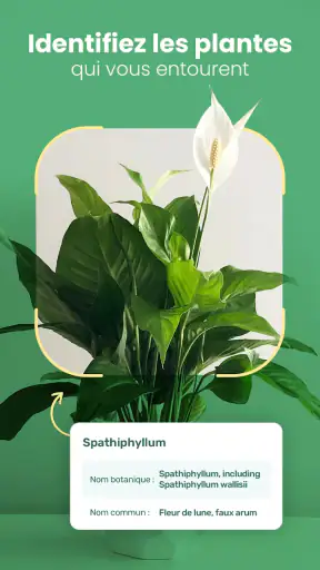 Blossom - Reconnaissez plantes screenshot