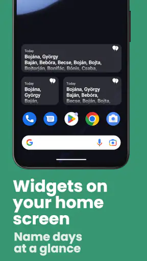 Bonne fête screenshot