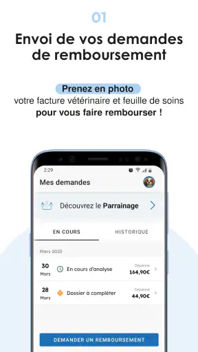 Bulle Bleue screenshot